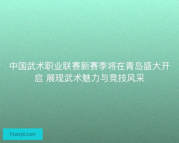 中国武术职业联赛新赛季将在青岛盛大开启 展现武术魅力与竞技风采