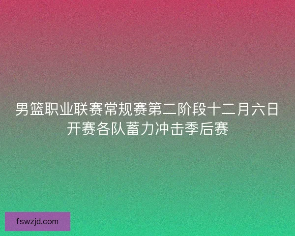 男篮职业联赛常规赛第二阶段十二月六日开赛各队蓄力冲击季后赛