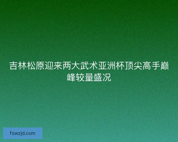 吉林松原迎来两大武术亚洲杯顶尖高手巅峰较量盛况